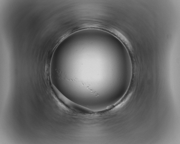 X0000113071001200908281150