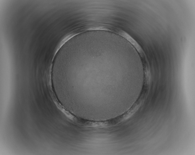 X0000113071002200908281150