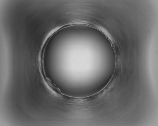 X0000113071003200908281150
