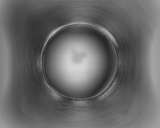 X0000113071004200908281150
