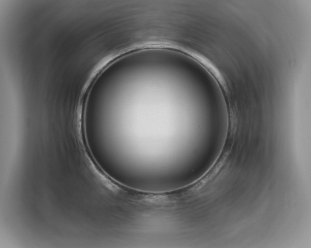 X0000113071006200908281150
