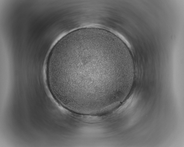 X0000113071007200908281150
