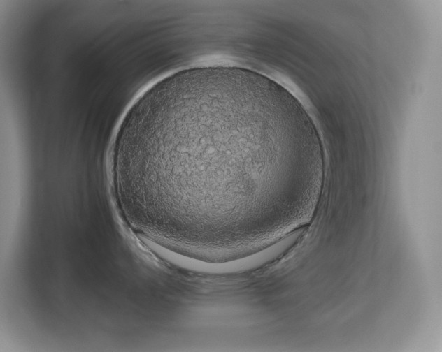 X0000113071008200908281150