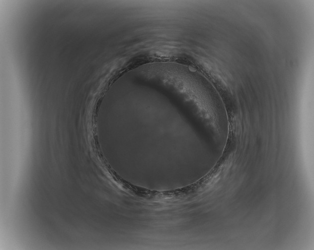 X0000113071009200908281150