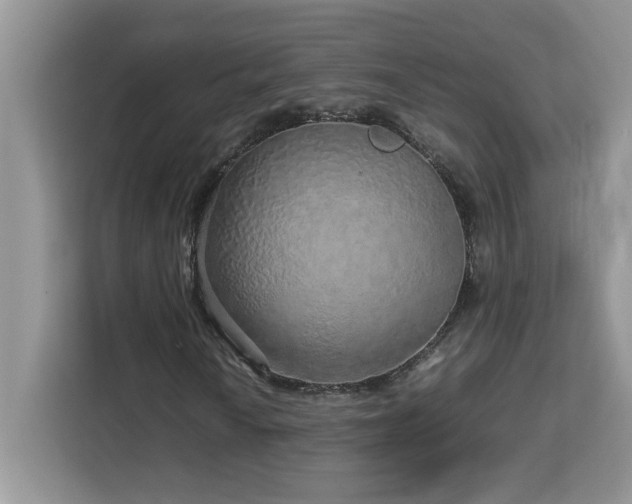 X0000113071010200908281150