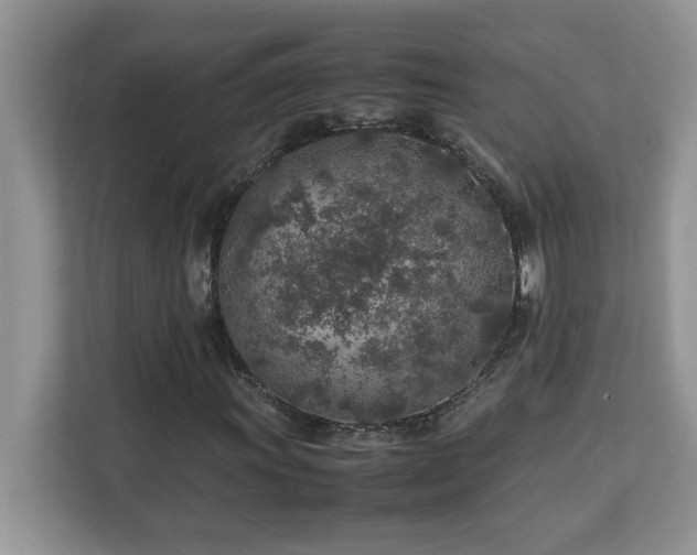 X0000113071011200908281150