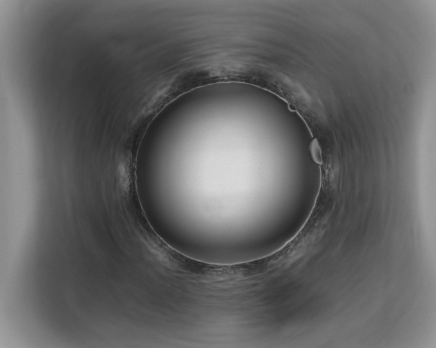 X0000113071012200908281150