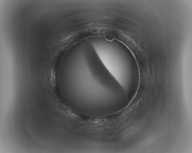 X0000113071013200908281150