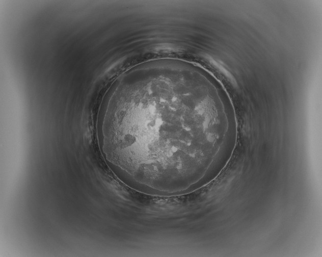 X0000113071015200908281150