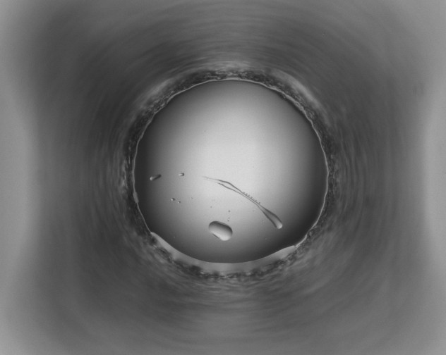 X0000113071016200908281150