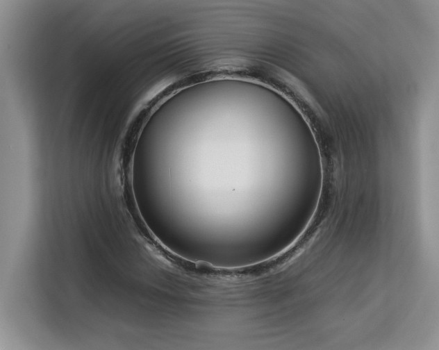 X0000113071018200908281150