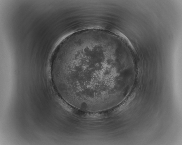 X0000113071019200908281150