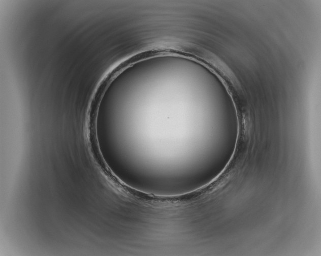 X0000113071020200908281150
