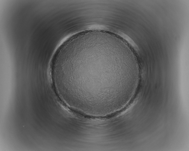 X0000113071022200908281150