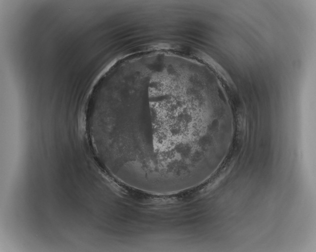 X0000113071023200908281150