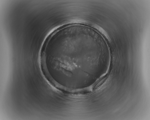 X0000113071024200908281150