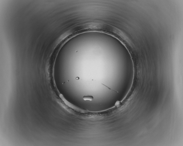 X0000113071026200908281150