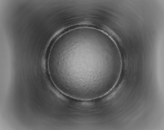 X0000113071029200908281150