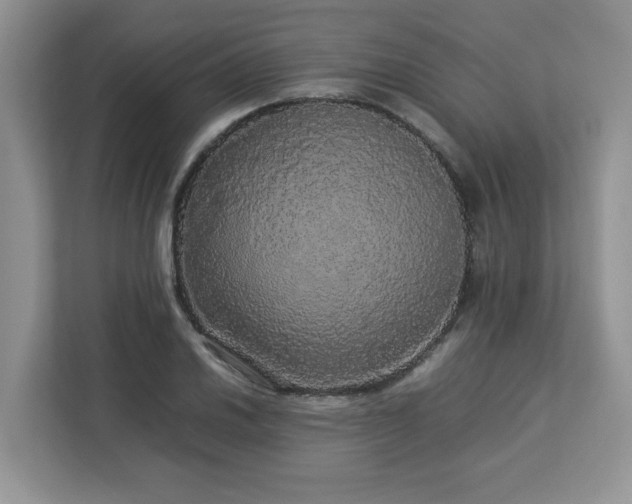 X0000113071030200908281150