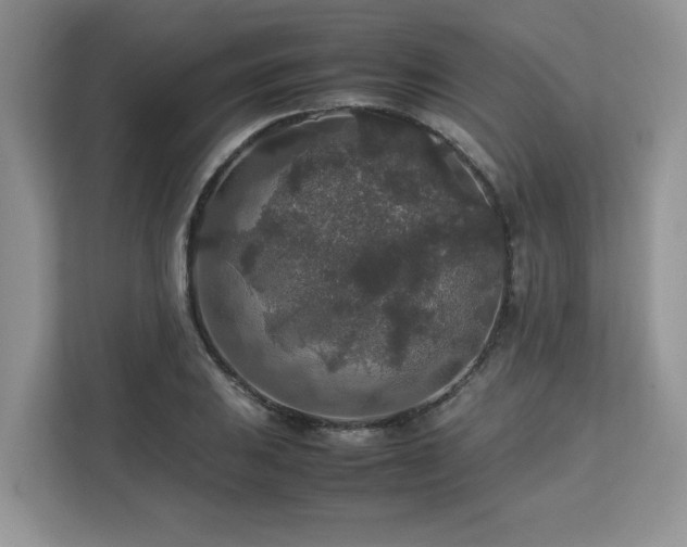 X0000113071031200908281150