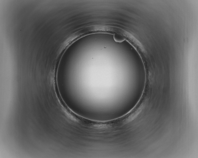 X0000113071033200908281150