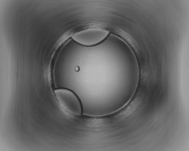 X0000113071034200908281150
