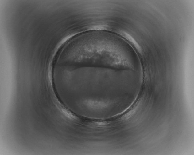 X0000113071035200908281150