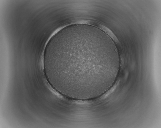 X0000113071036200908281150