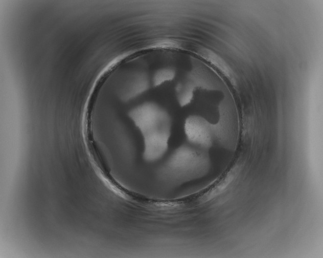 X0000113071037200908281150