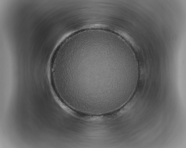 X0000113071038200908281150