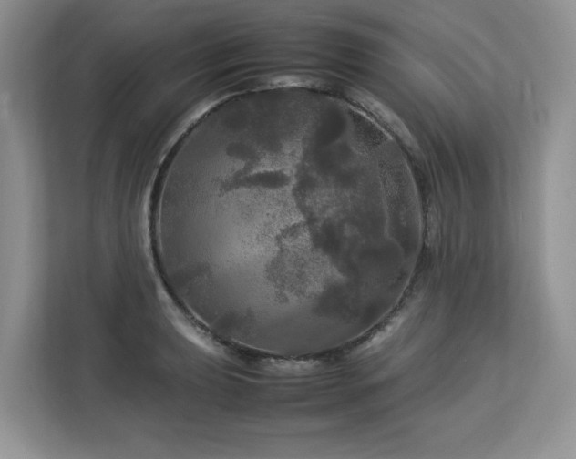X0000113071039200908281150
