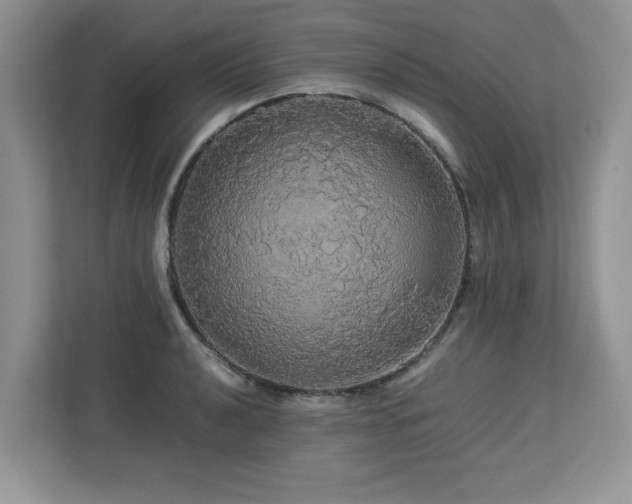 X0000113071040200908281150