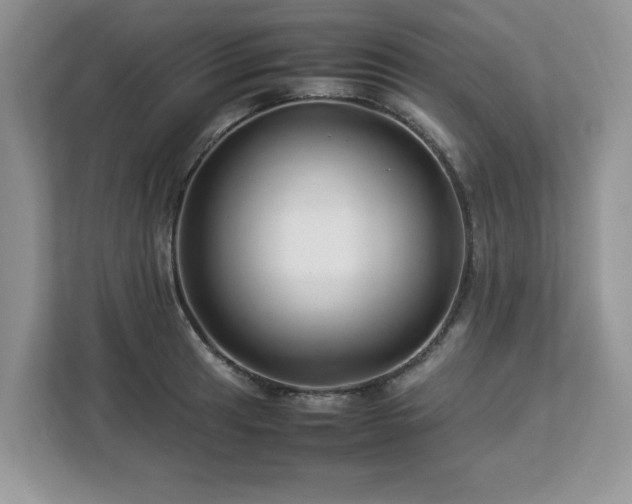 X0000113071041200908281150