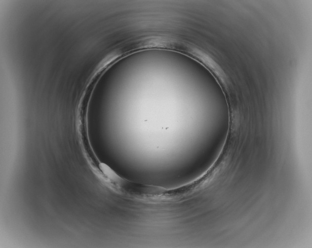 X0000113071042200908281150