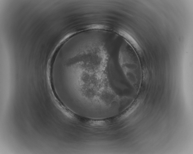 X0000113071043200908281150