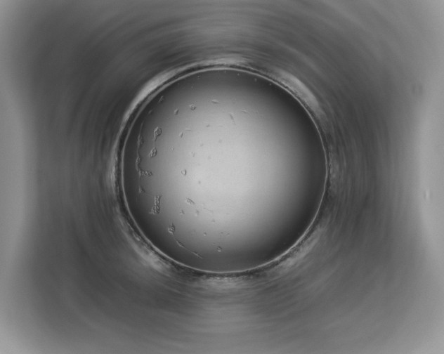 X0000113071044200908281150