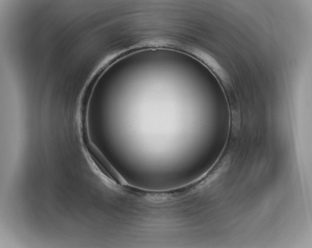 X0000113071046200908281150