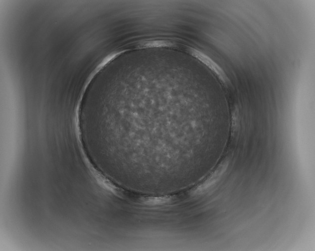 X0000113071047200908281150