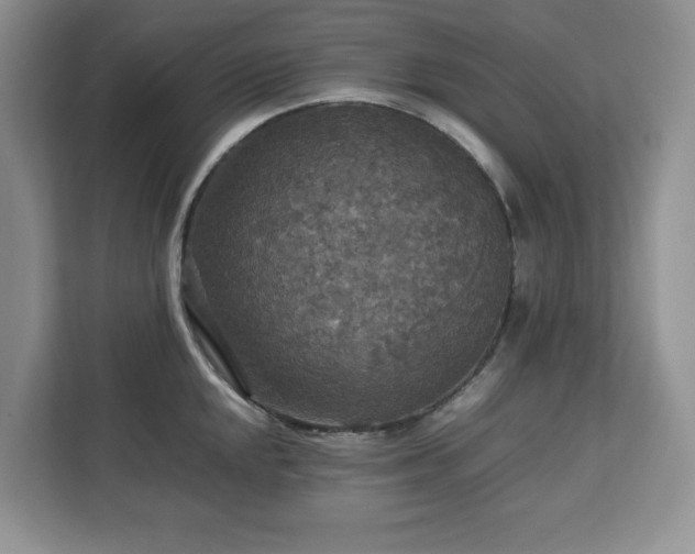 X0000113071048200908281150