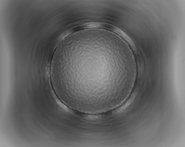 X0000113071049200908281150
