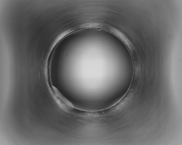 X0000113071050200908281150