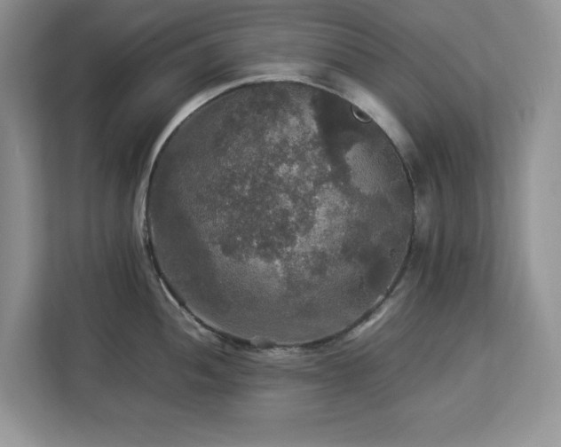 X0000113071052200908281150