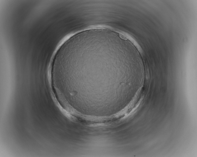 X0000113071054200908281150