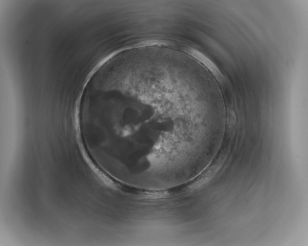 X0000113071055200908281150