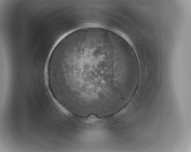 X0000113071056200908281150