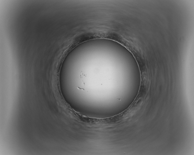 X0000113071057200908281150