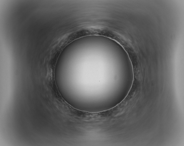 X0000113071061200908281150