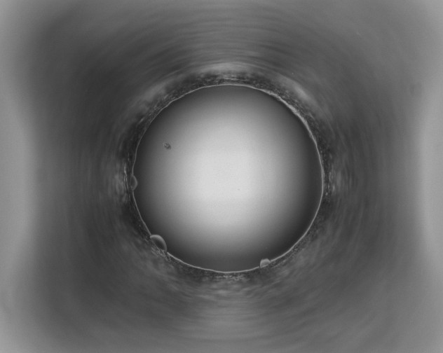 X0000113071062200908281150