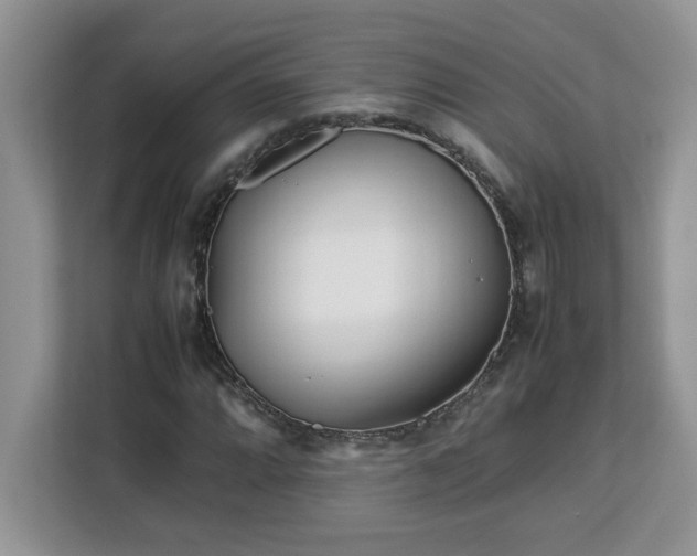 X0000113071064200908281150