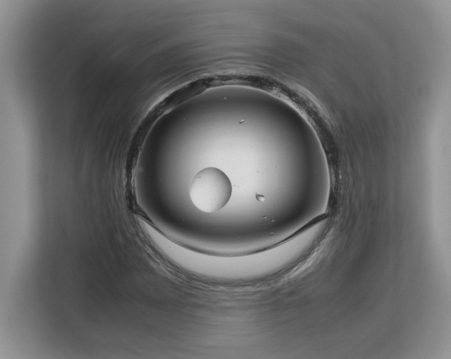 X0000113071065200908281150